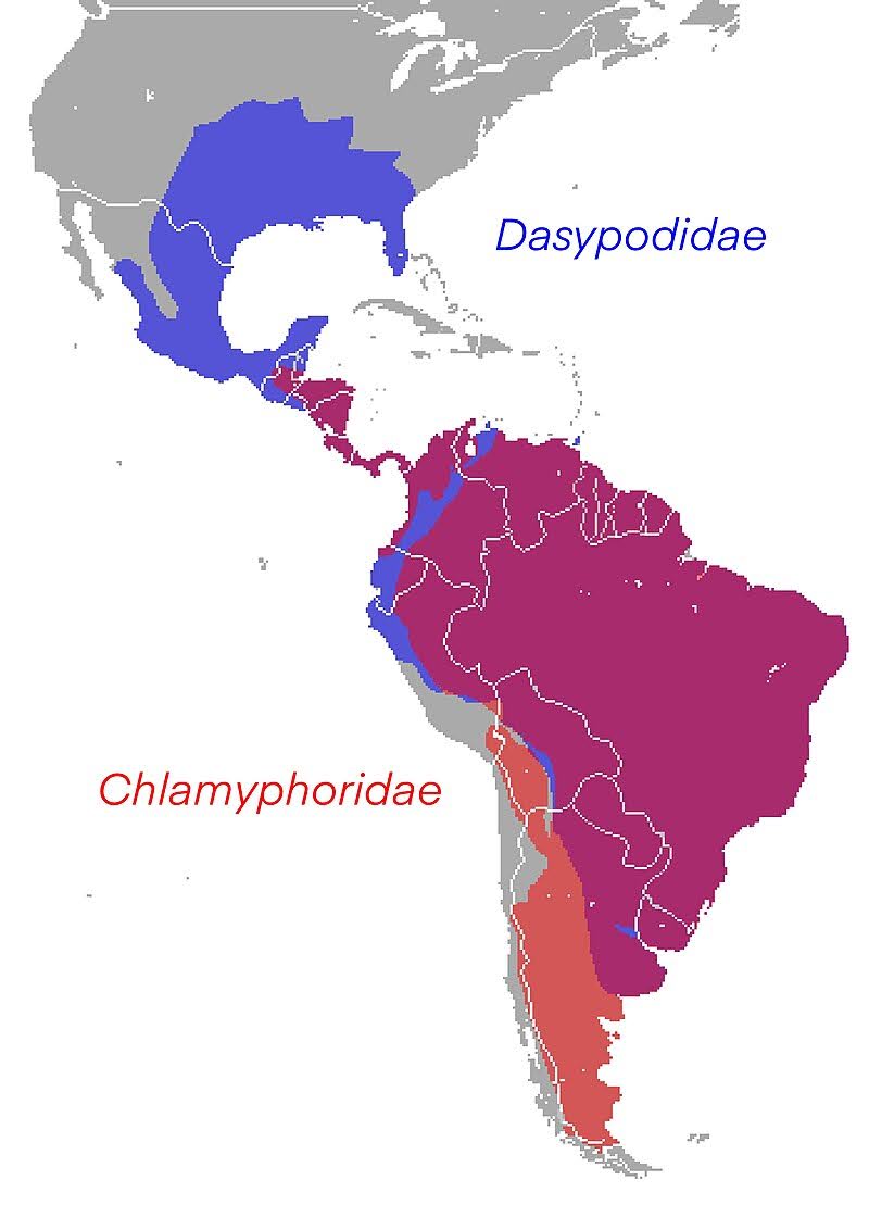 A map showing the range of the Armadillo family, mostly in South and Central America.