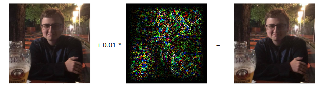 Adversarial Examples